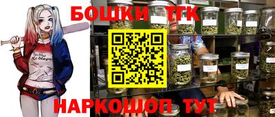 ECSTASY Гусь-Хрустальный