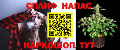 ALPHA PVP Гусев